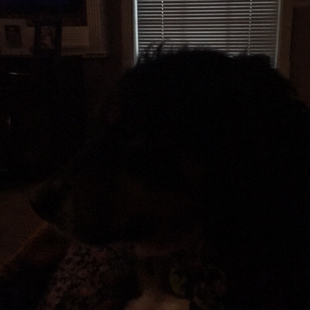 Meet your Posher, Missy